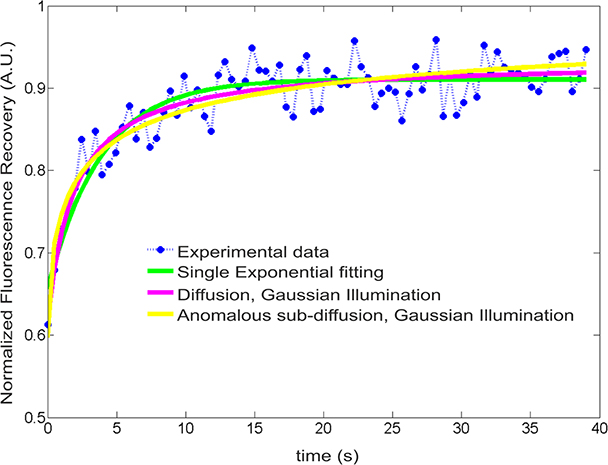 Fluorescence recovery after photobleaching - Book chapter - IOPscience