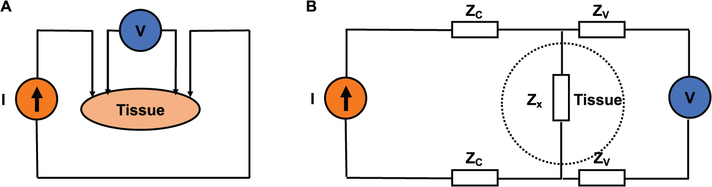 Lei… Impedance measurements of living matter - Book chapter