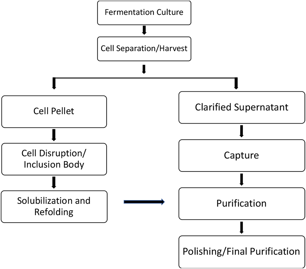 Downstream process - Book chapter - IOPscience