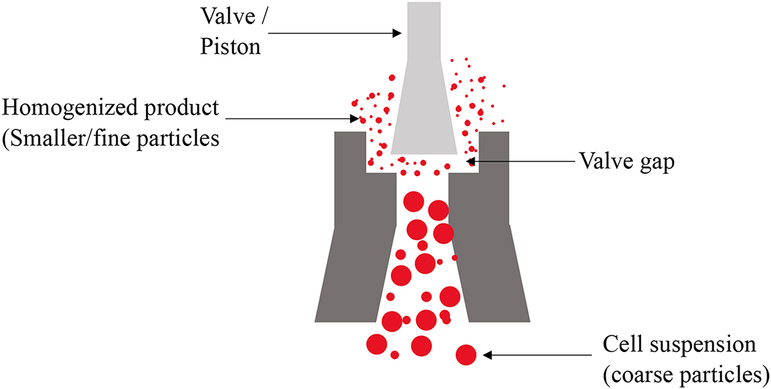Downstream process - Book chapter - IOPscience