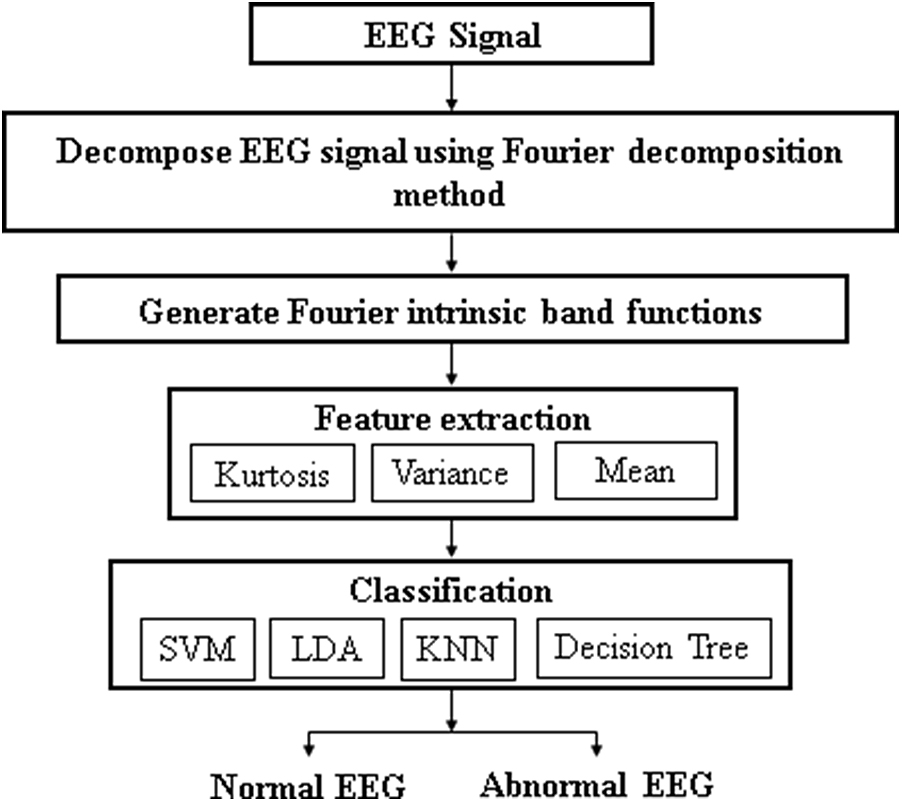 Noise removal and classification of EEG signals using the Fourier ...