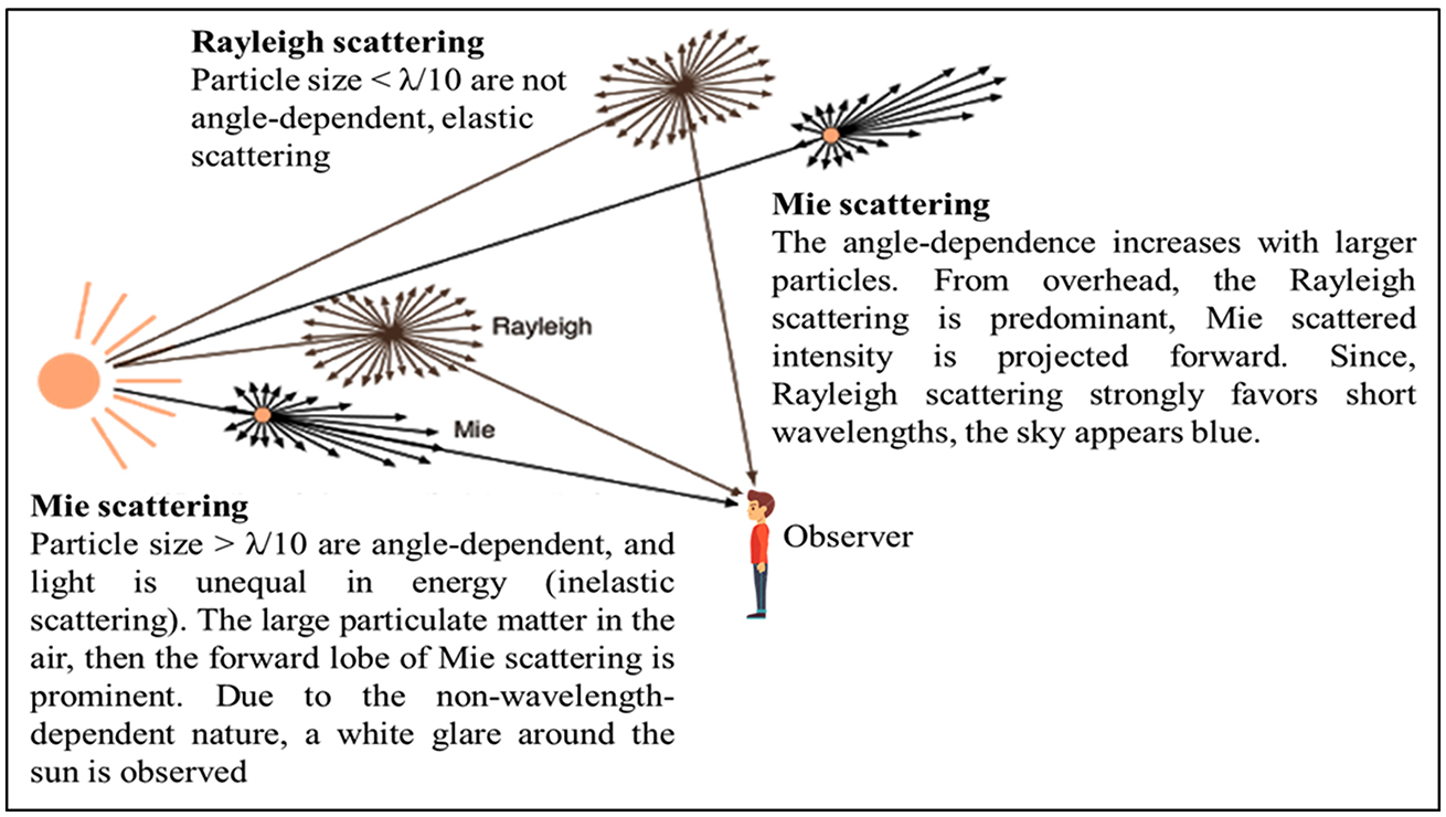 Dynamic light scattering (DLS) particle size analysis for biomedical ...