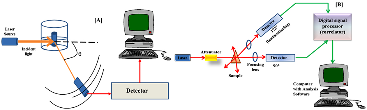 Dls Characterization Dynamic light scattering (DLS) particle size analysis for biomedical ...