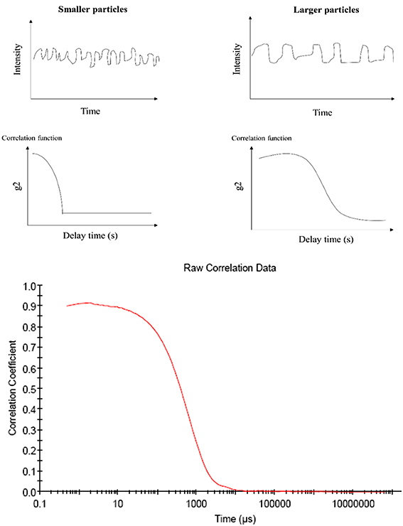 Dynamic light scattering (DLS) particle size analysis for biomedical ...
