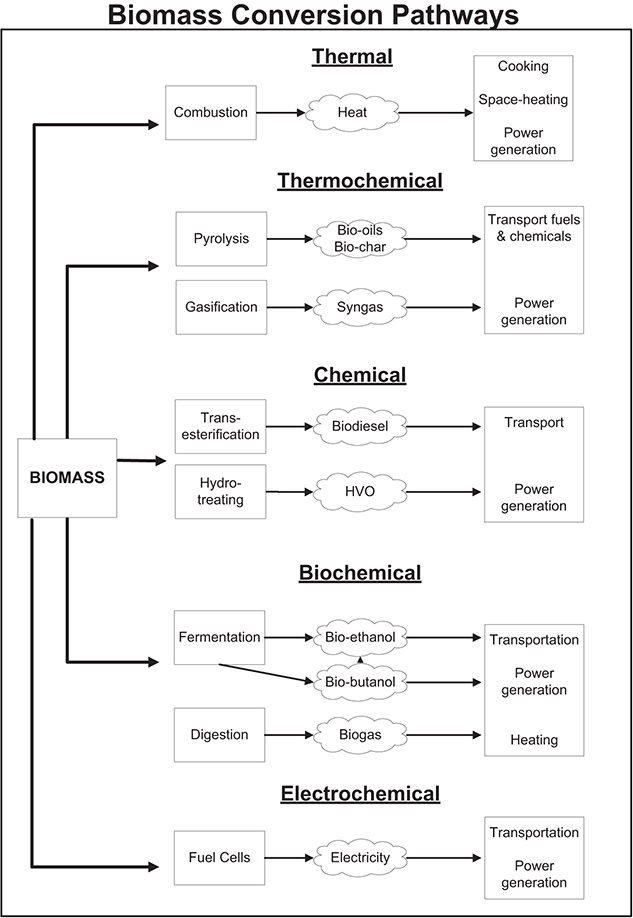 Thermal and thermochemical conversion of solid biomass - Book chapter ...