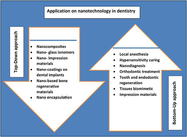 Tooth Structure Nano Possible effects/future scope of using nano materials in oral dentistry ...