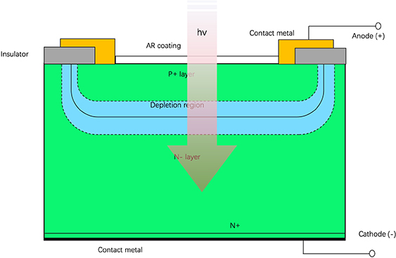 Photoelectrode Structure Photodiode and receiver - Book chapter - IOPscience
