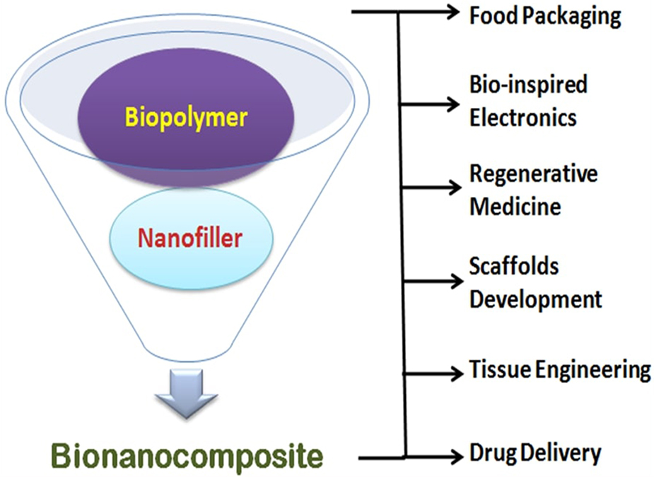 Bionanocomposites and their multifunctional applications - Book chapter ...