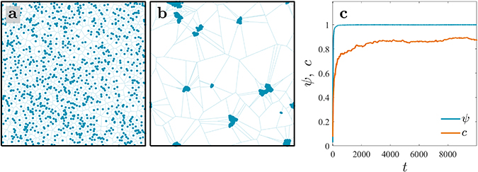 Minimal Vicsek Model Python Code Example The Vicsek model - Book chapter - IOPscience