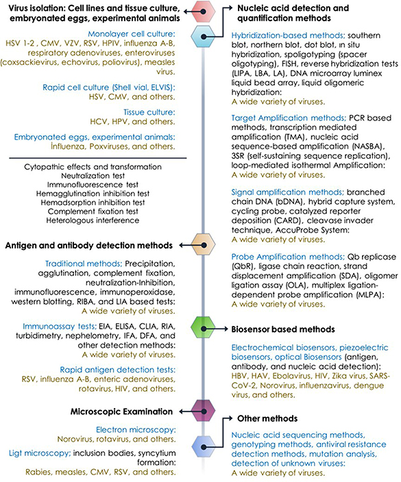 Viruses and the importance of virus detection - Book chapter - IOPscience