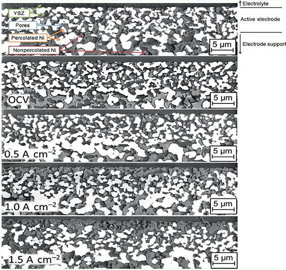 Cathode materials for solid oxide electrolysis cells - Book chapter ...