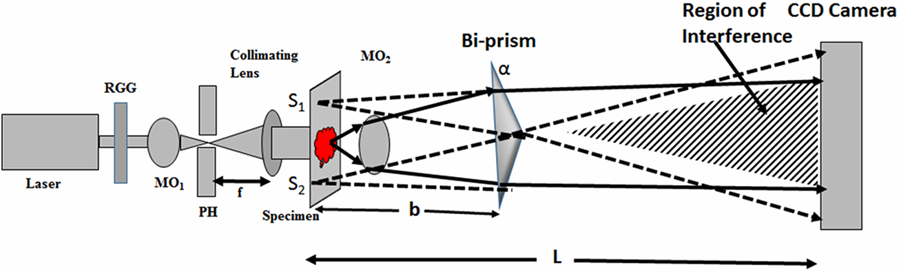 Partially spatially coherent common-path quantitative phase microscopy ...