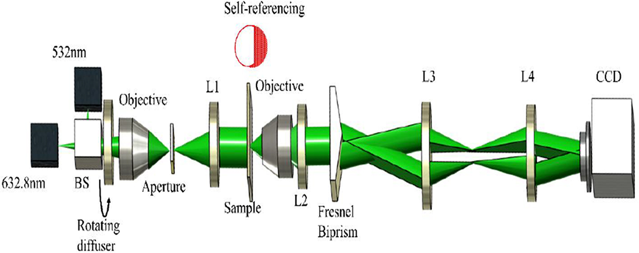 Partially spatially coherent common-path quantitative phase microscopy ...