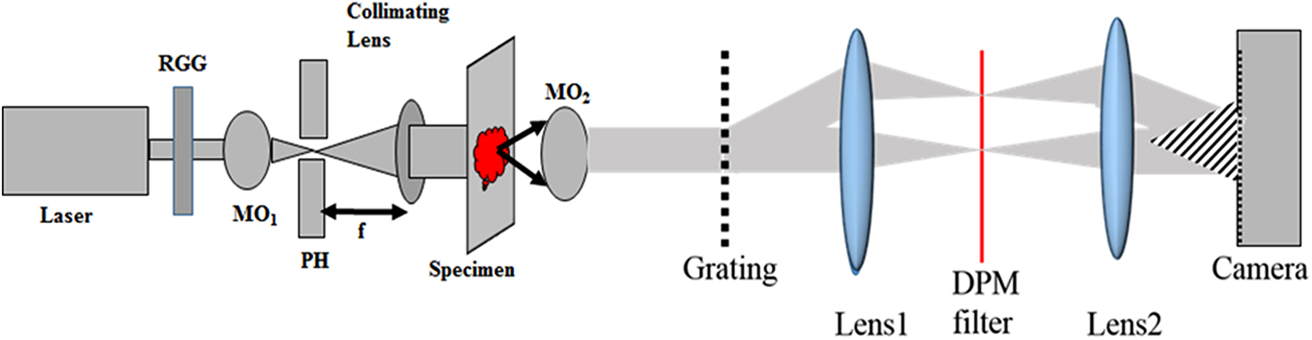 Partially spatially coherent common-path quantitative phase microscopy ...