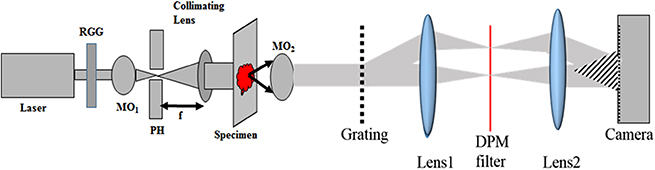 Partially spatially coherent common-path quantitative phase microscopy ...