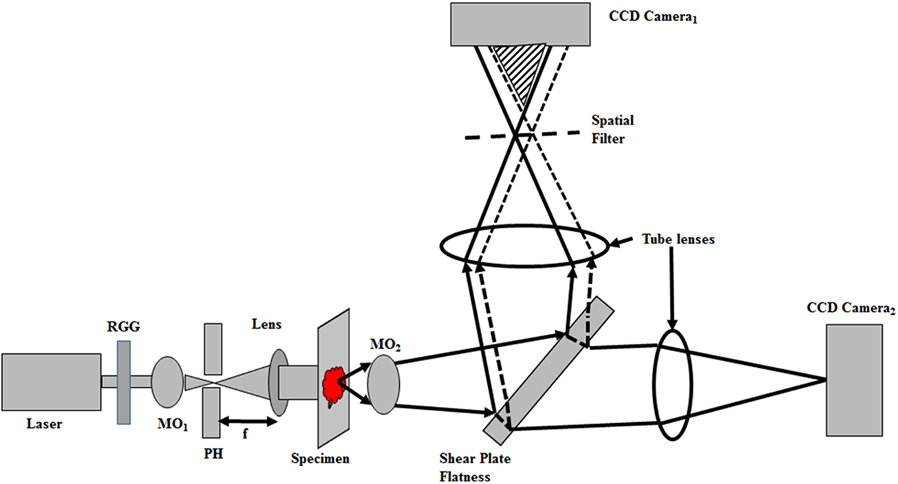 Partially spatially coherent common-path quantitative phase microscopy ...