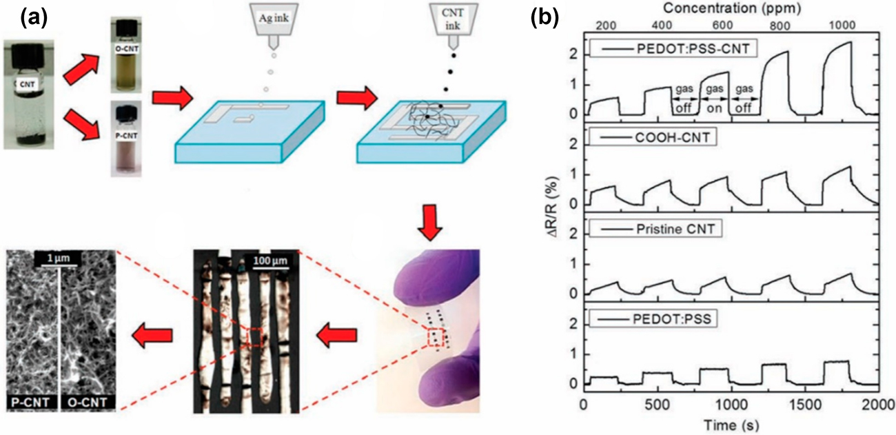 Gas sensors based on carbon nanotubes - Book chapter - IOPscience