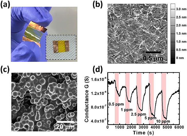 Gas sensors based on carbon nanotubes - Book chapter - IOPscience