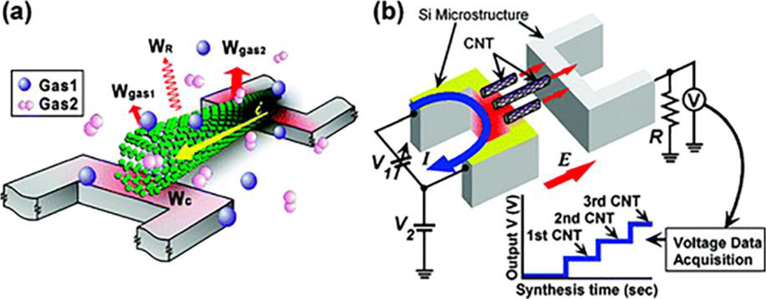 Gas sensors based on carbon nanotubes - Book chapter - IOPscience