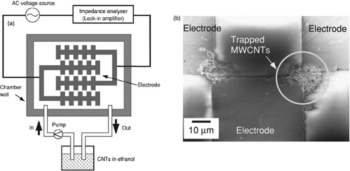 Gas sensors based on carbon nanotubes - Book chapter - IOPscience