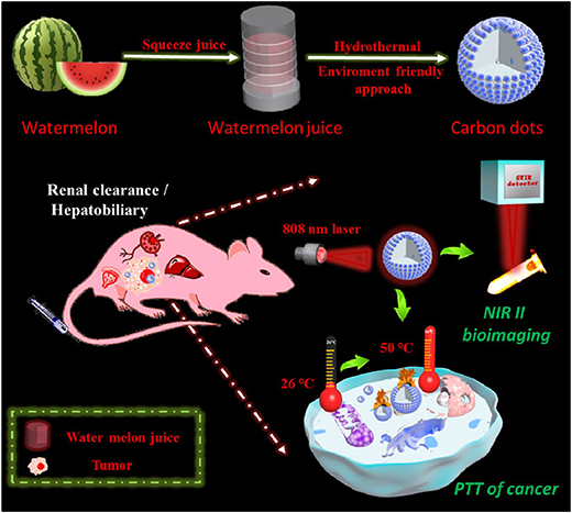 Zero-dimensional carbon nanomaterials for targeted drug delivery and ...