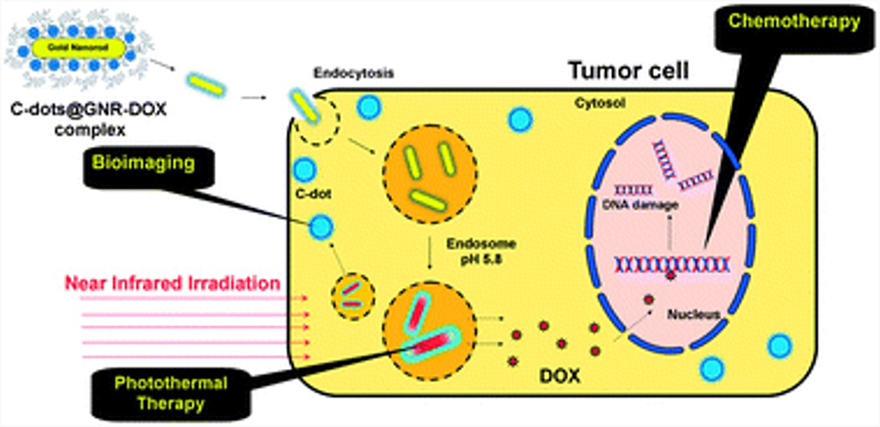 Zero-dimensional carbon nanomaterials for targeted drug delivery and ...