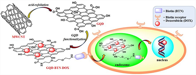 Zero-dimensional carbon nanomaterials for targeted drug delivery and ...