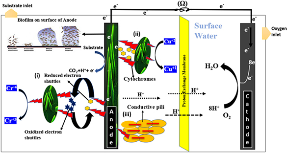 The effects of operating factors on the electrochemical performance of ...