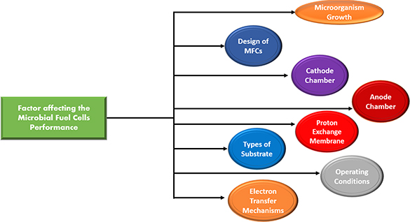 The effects of operating factors on the electrochemical performance of ...