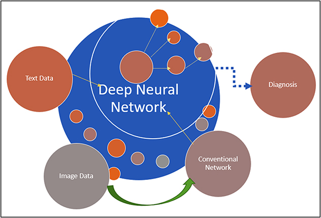 Computer vision approach with deep learning for a medical intelligence ...