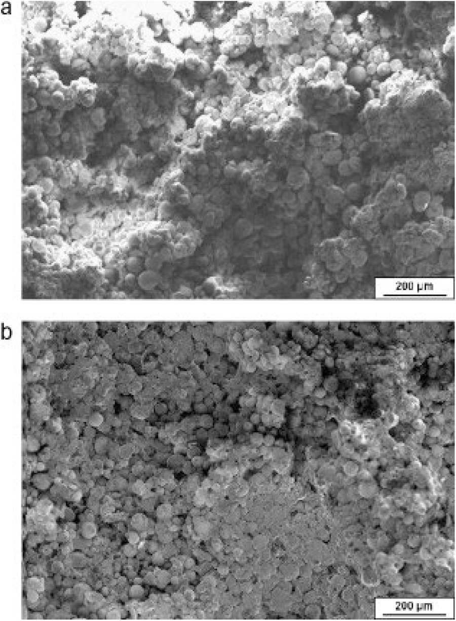 Selective laser sintering/melting (SLS/SLM) - Book chapter