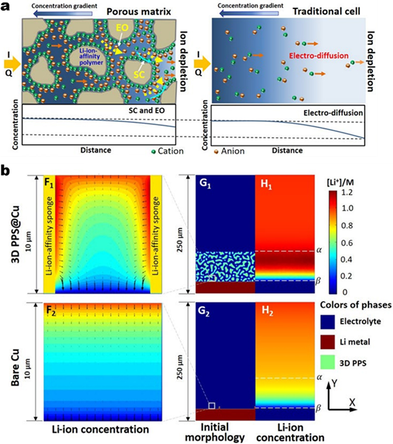 Lithium metal anodes for high-performance rechargeable batteries - Book ...