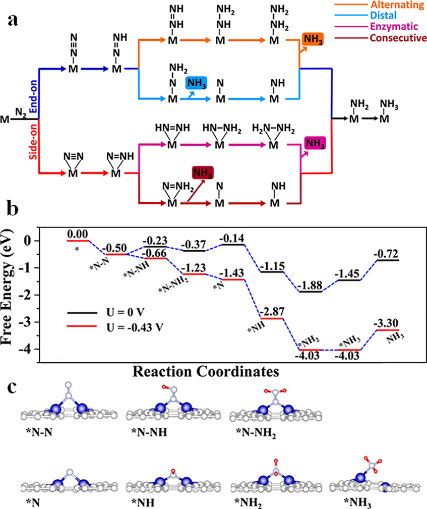 Graphdiyne - Book chapter - IOPscience