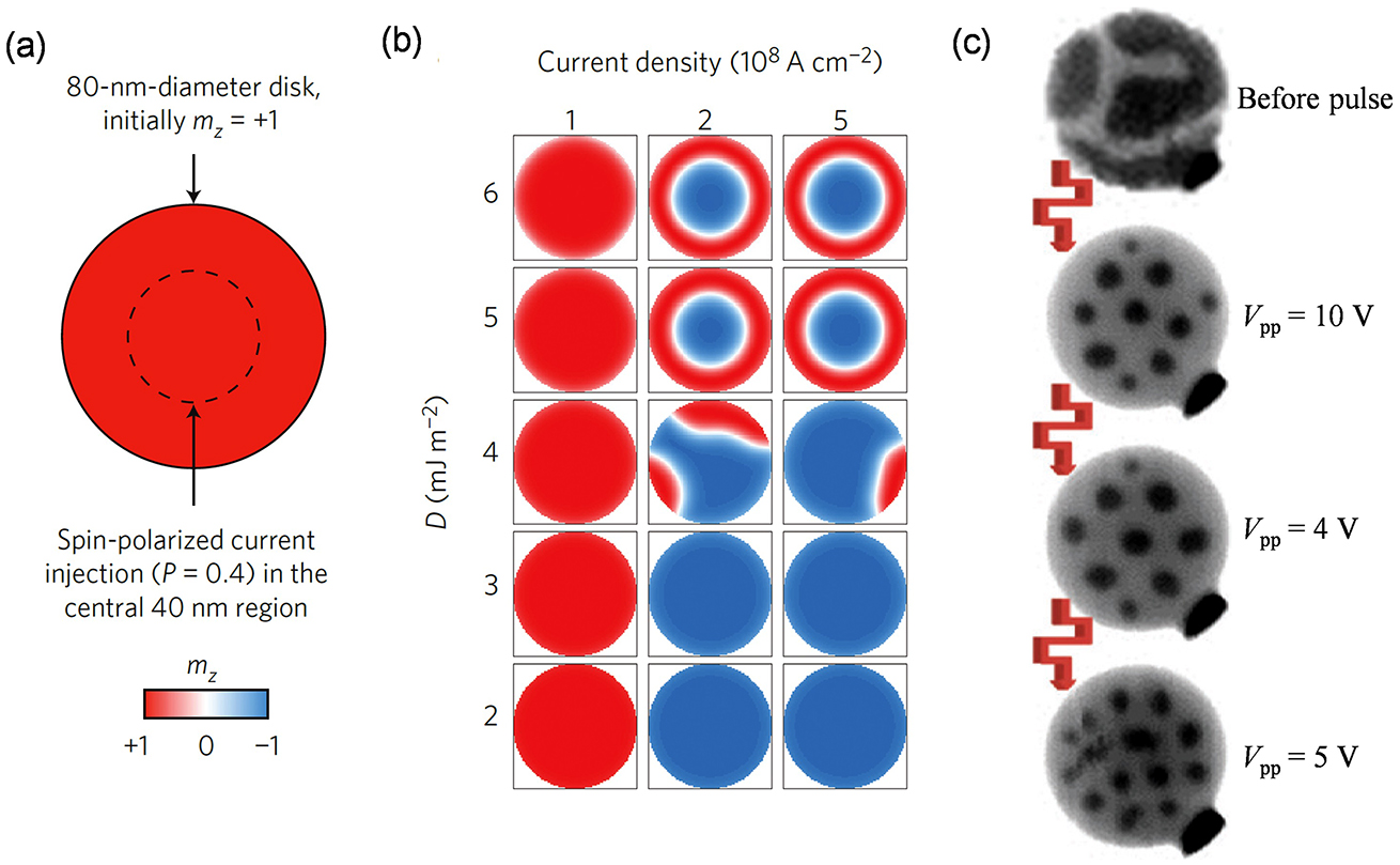 Magnetic solitons - Book chapter - IOPscience