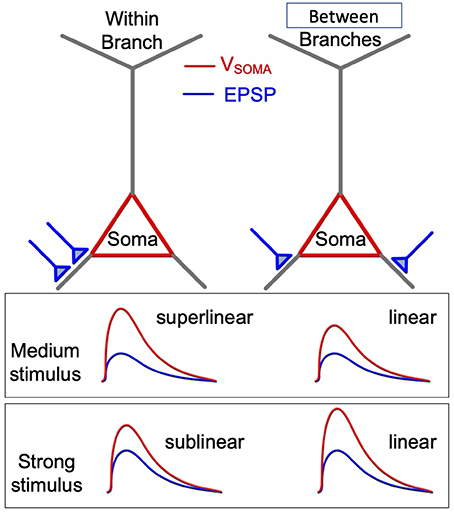 Introduction - Book chapter - IOPscience
