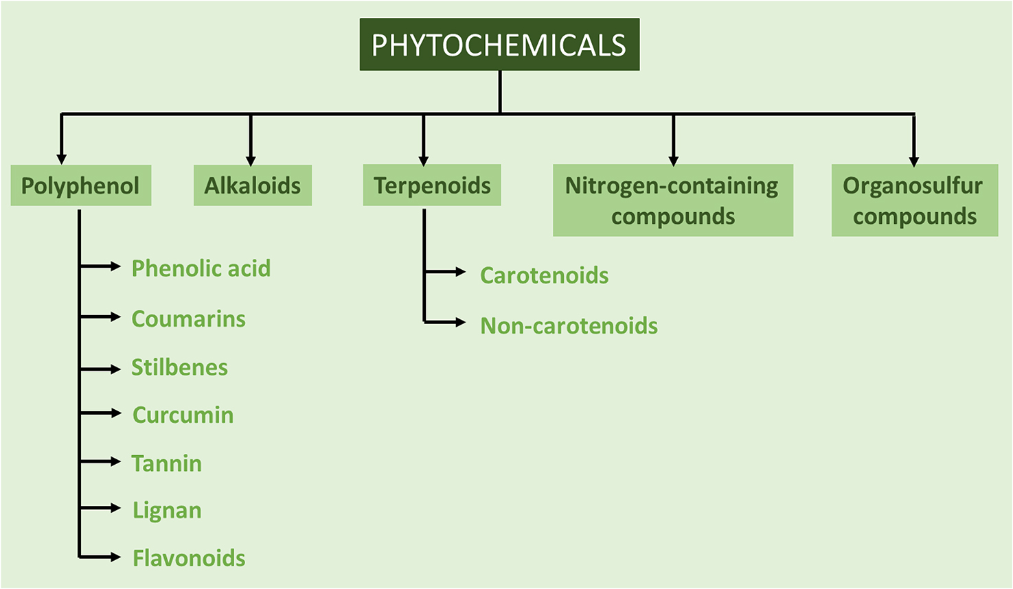 Phytochemicals and cancer: an overview - Book chapter - IOPscience