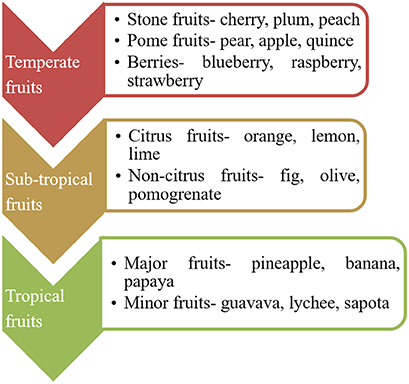 Determination of fruit quality: a spectroscopic approach - Book chapter ...