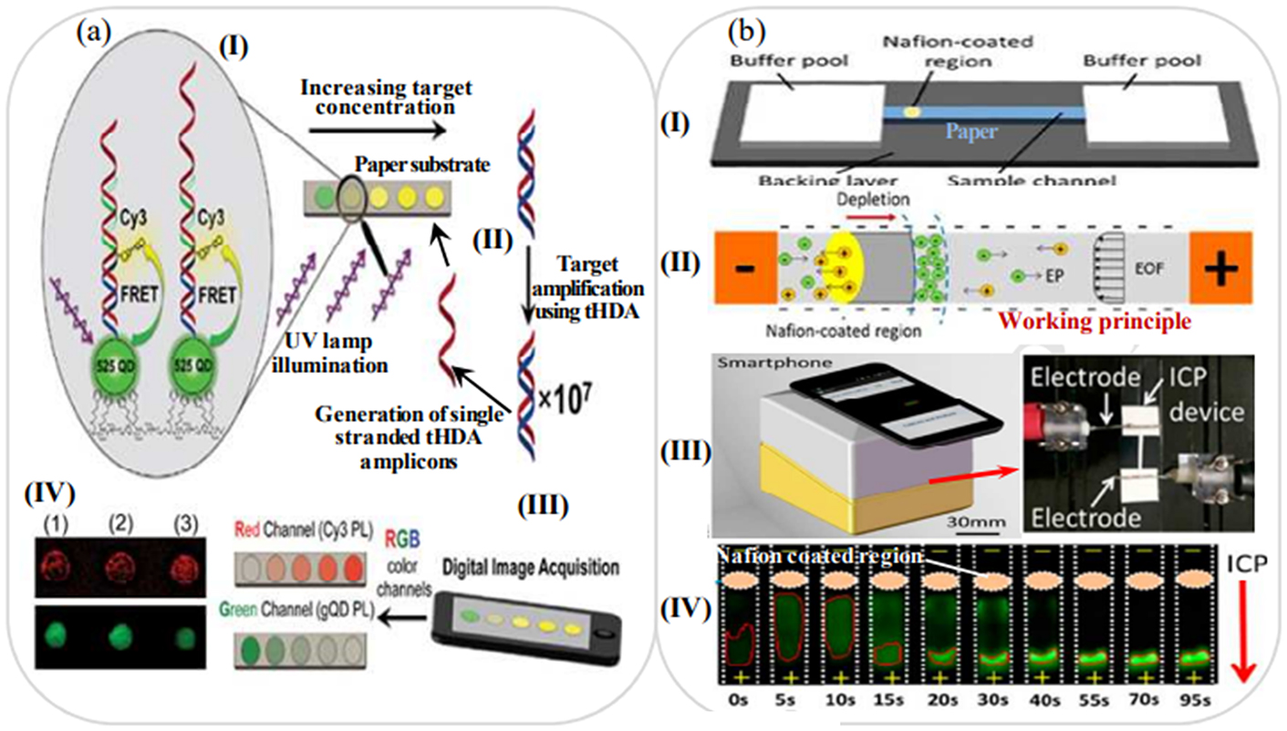 Paper-based biosensors: overview from past to future - Book chapter ...
