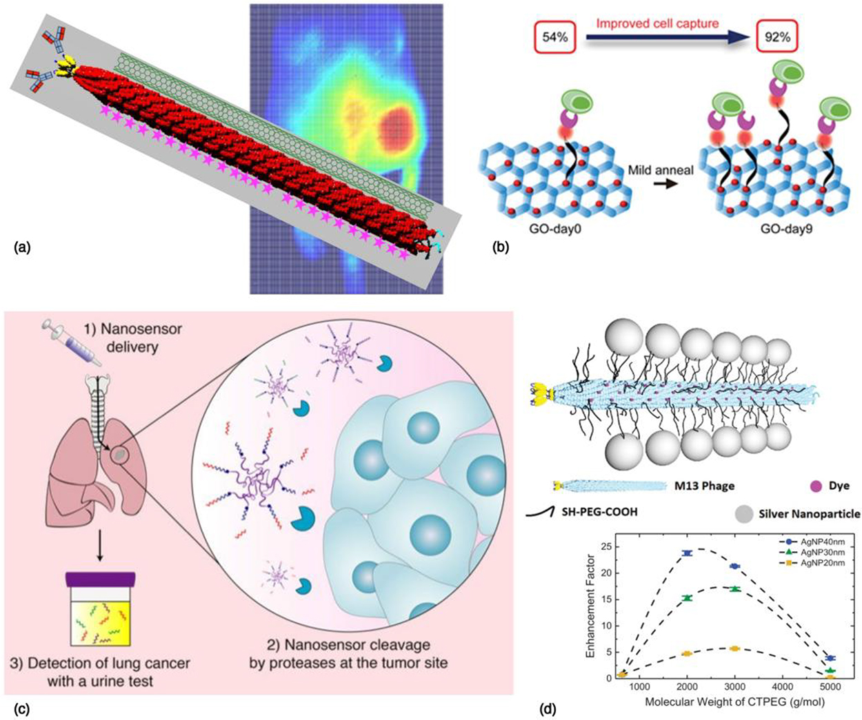 Nanoplatforms for precision imaging and targeted therapy in