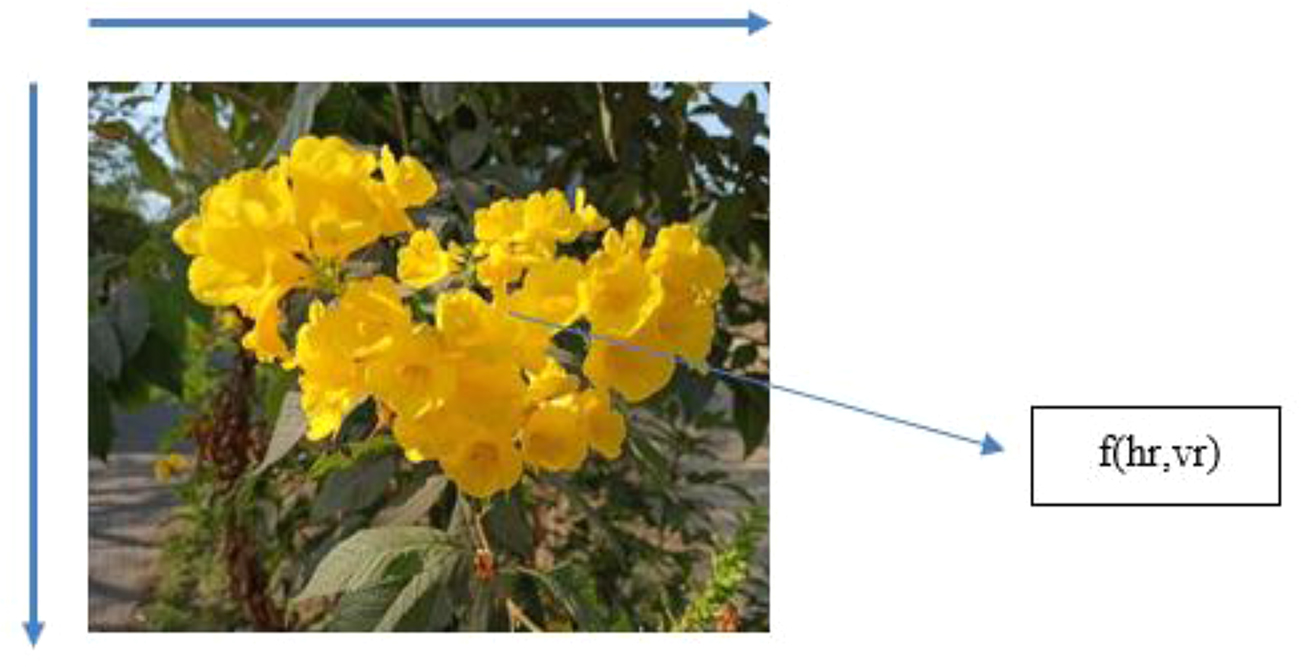 Basics of image analysis and manipulation using Python - Book chapter ...