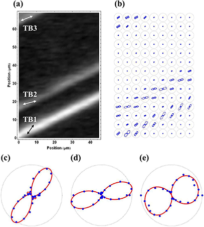 Functional properties of ferroelastic domain walls - Book chapter