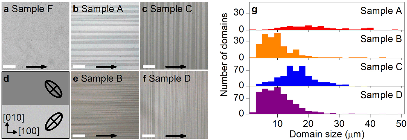Functional properties of ferroelastic domain walls - Book chapter