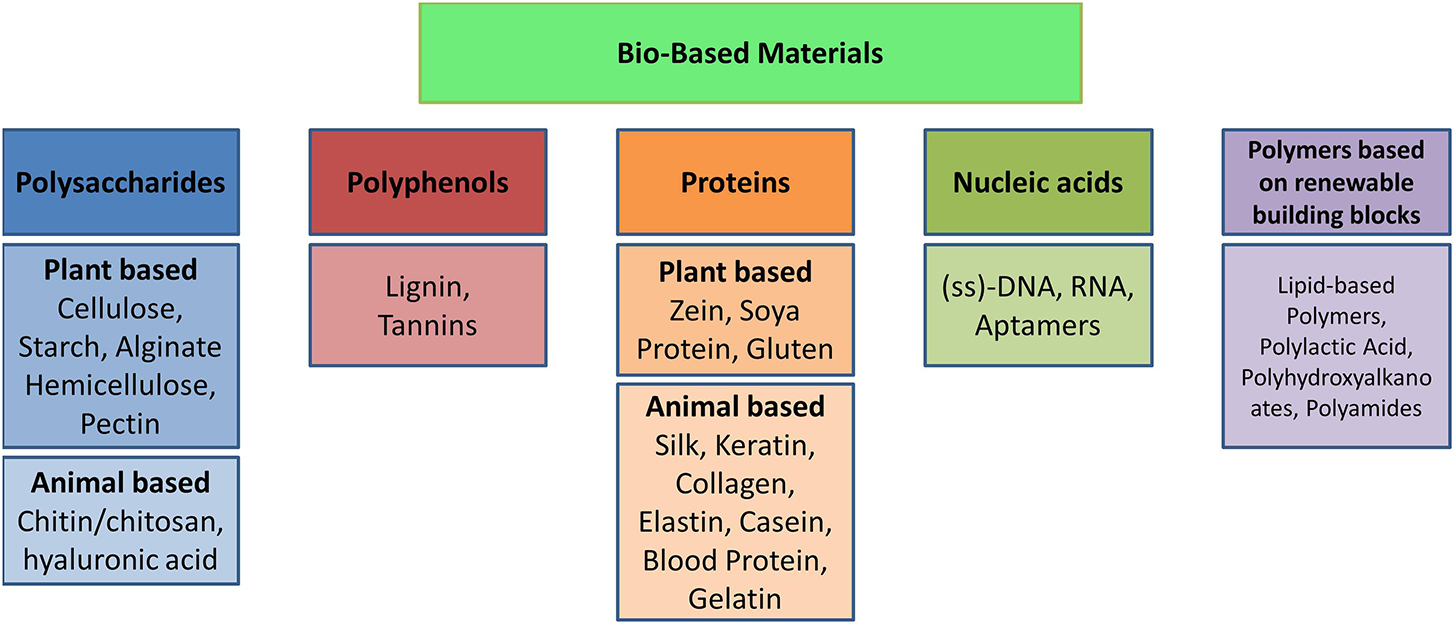 Introduction to advances in bio-based polymers: chemical structures and ...