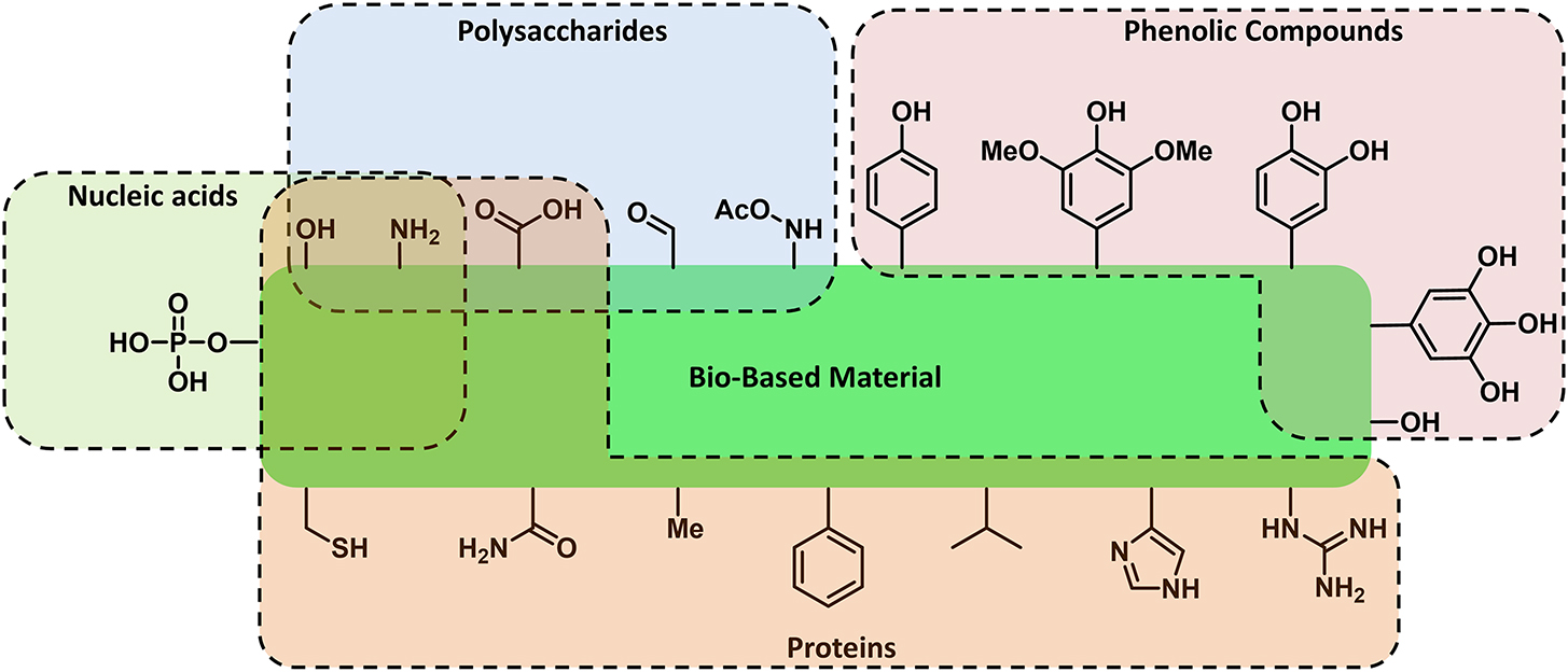 Introduction to advances in bio-based polymers: chemical structures and ...