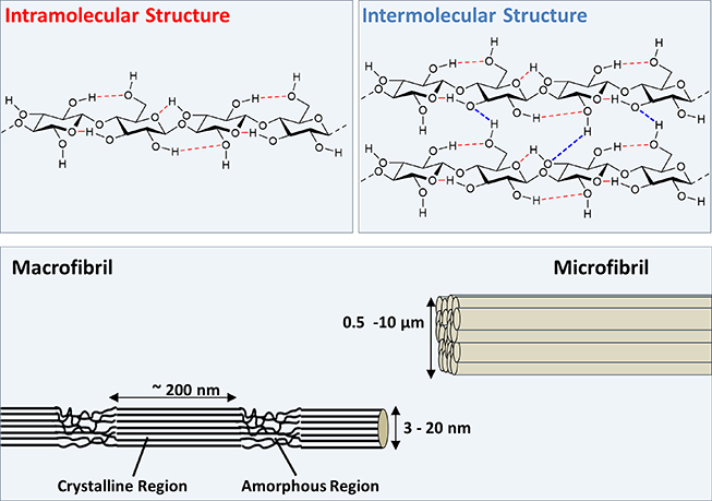 Introduction to advances in bio-based polymers: chemical structures and ...