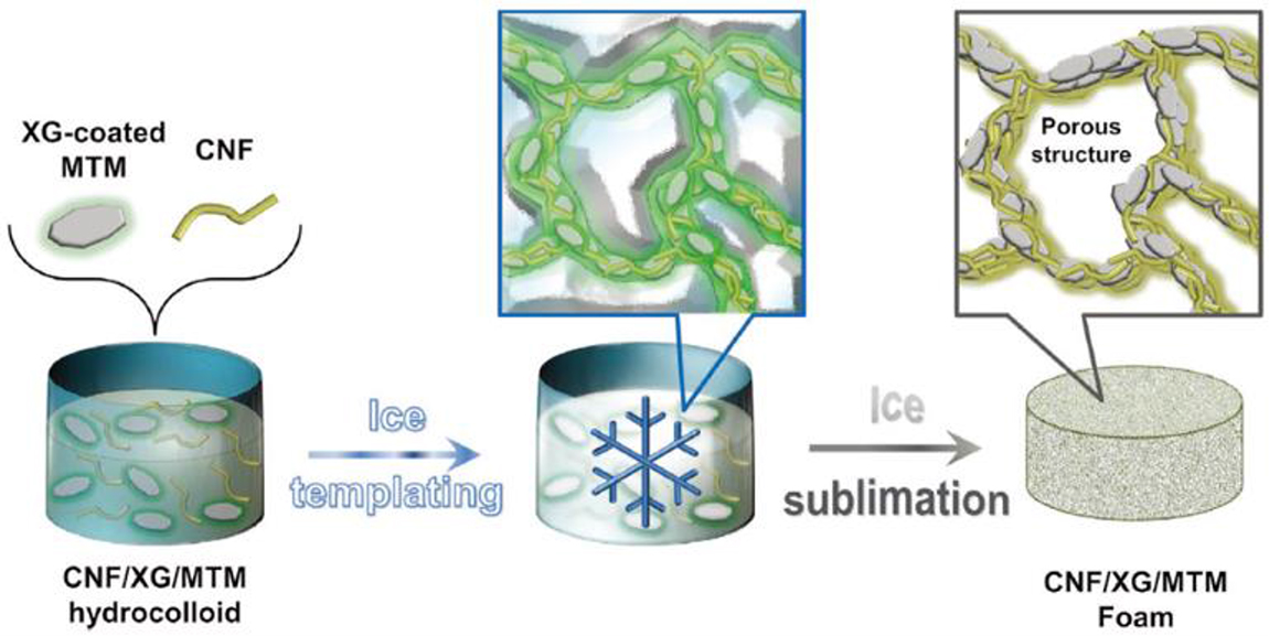 Hemicellulose based materials - Book chapter - IOPscience