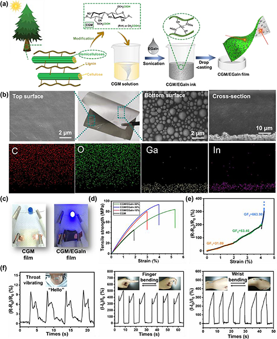 Hemicellulose based materials - Book chapter - IOPscience