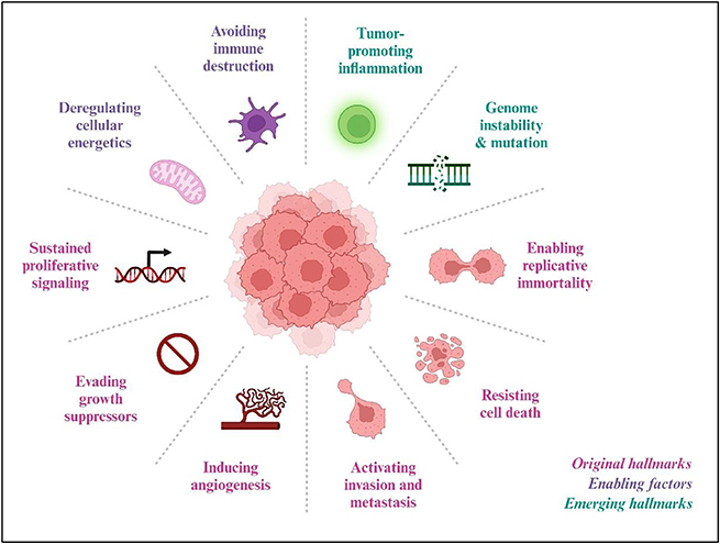 Cancer: an overview of its development, progression, detection and ...