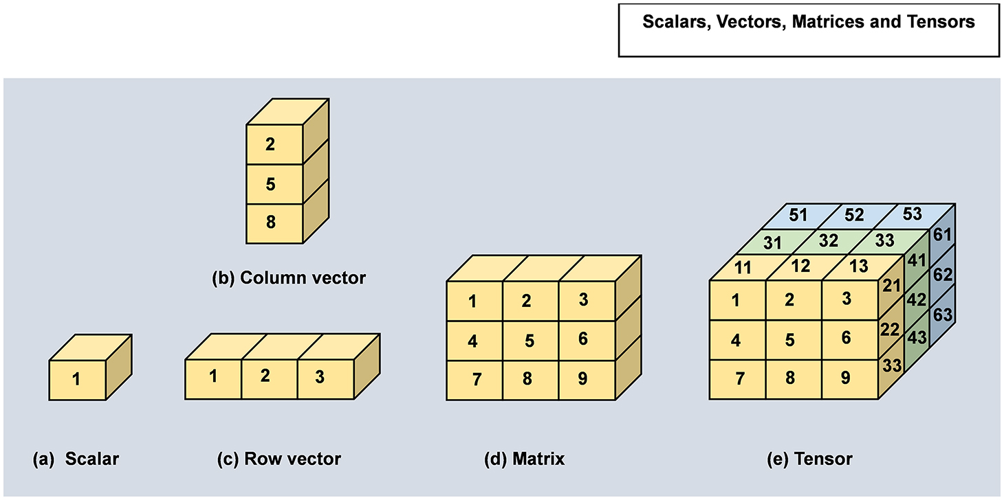 洋書 Visualization and Processing of Tensors Mathematics and Visualization Visualization and Processing