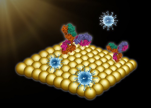 Focus on Plasmonic Nanomaterials for Enhanced Sensing and Imaging ...